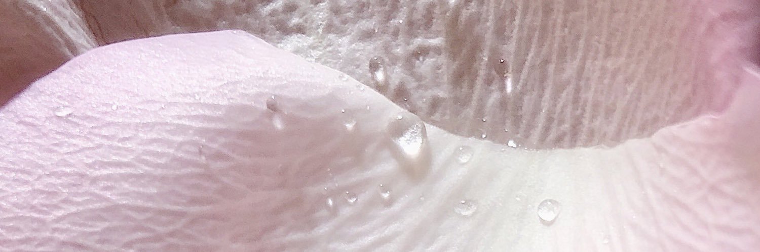 dewyfaery's profile banner image