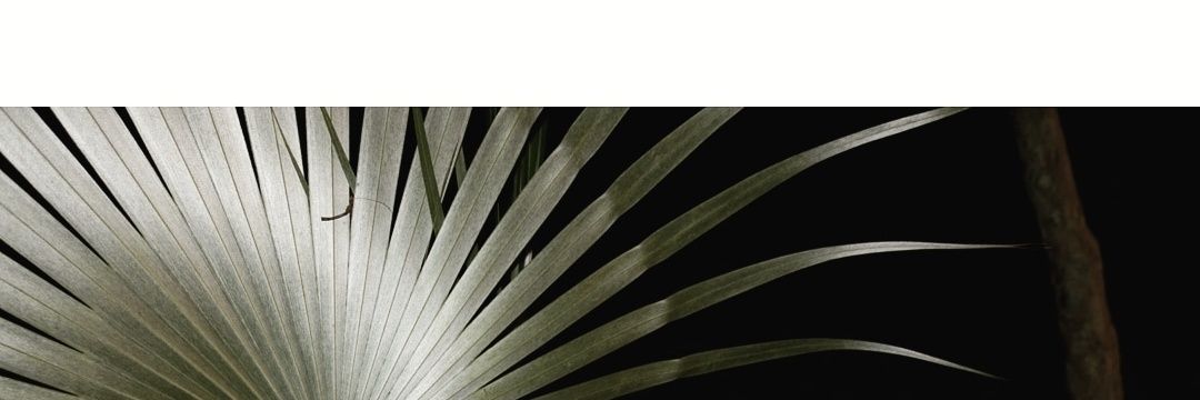 ouerlive's profile banner image