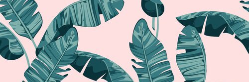ashleycath_'s profile banner image