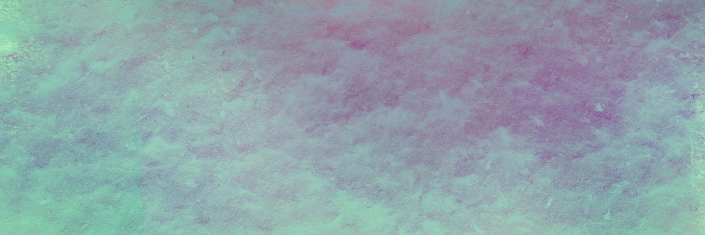 CanarySteam's profile banner image