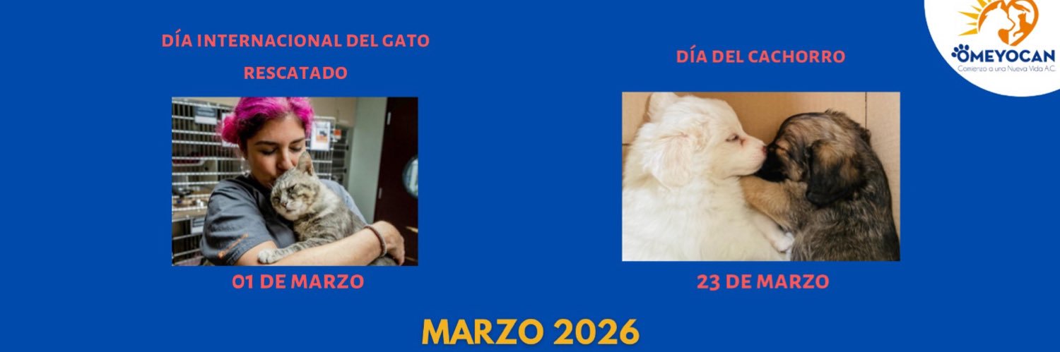 OMEYOCAN A.C. banner