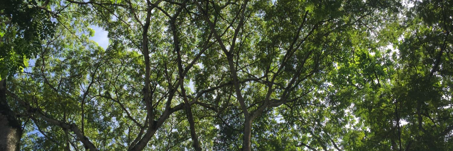 alroga_04's profile banner image