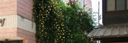 rleeyna's profile banner image