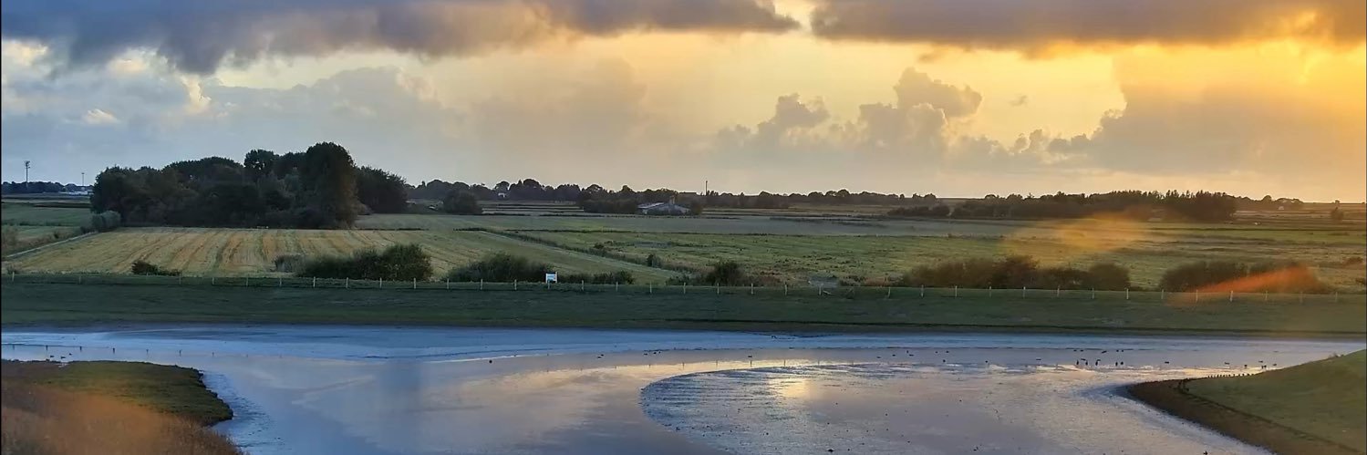 @amerlanda.bsky.social banner