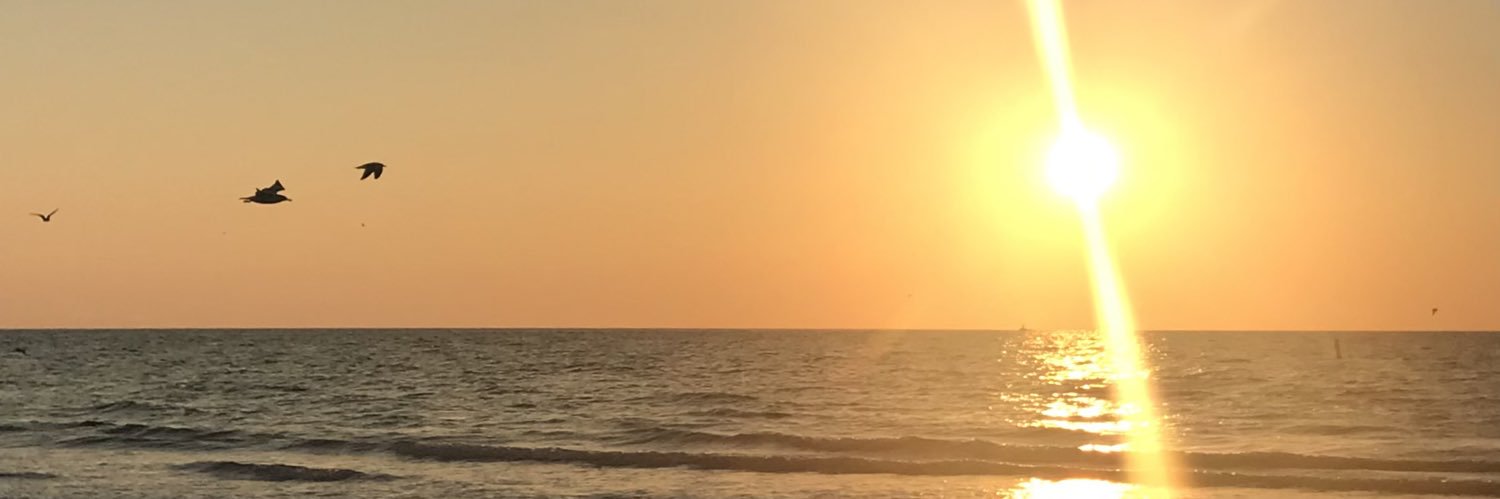 AireNJune's profile banner image