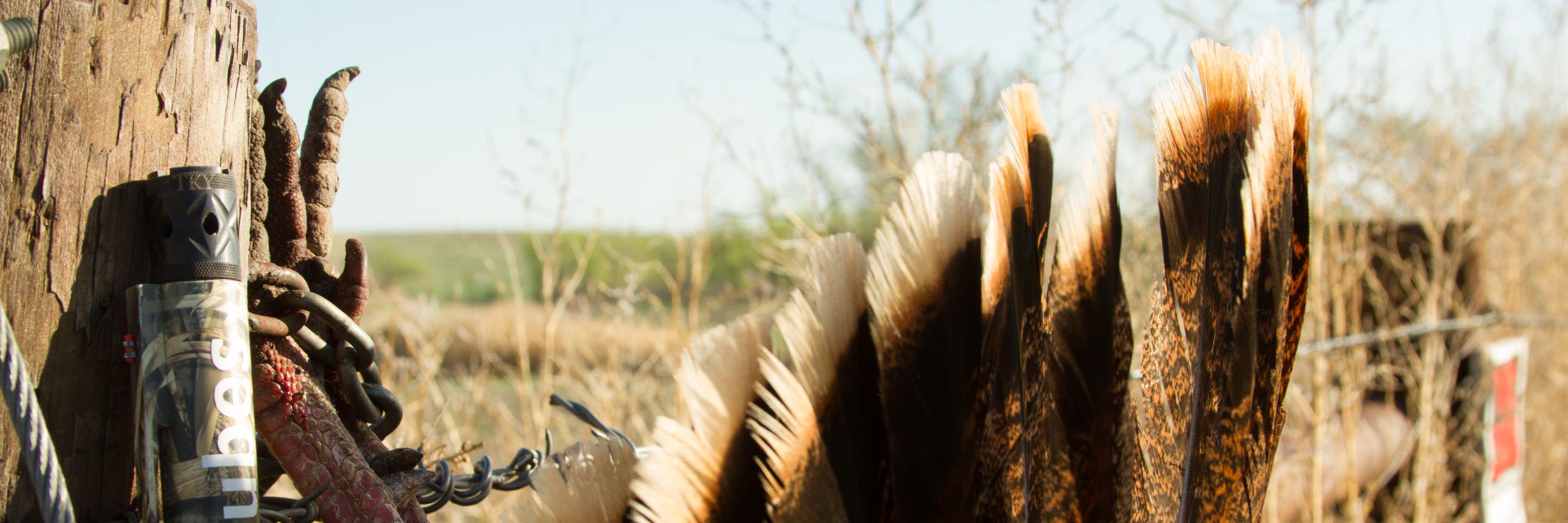 Carlsons Choke Tubes banner