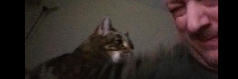 jonhearst's profile banner image