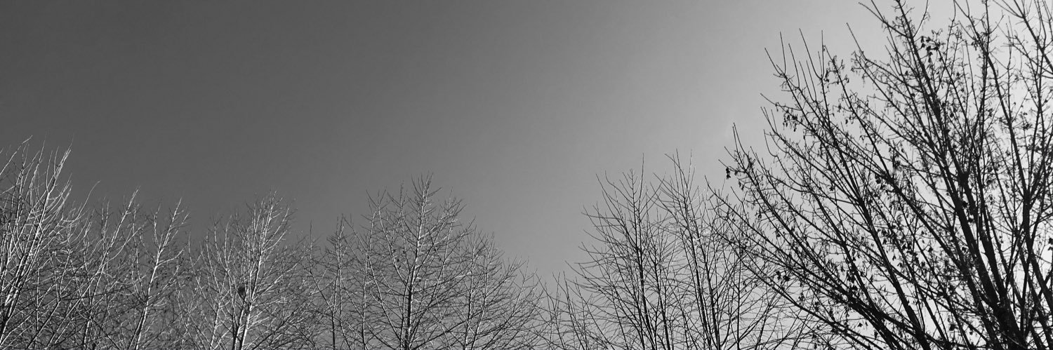 omeergunes's profile banner image