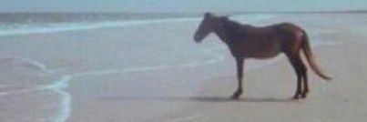 Lluc004's profile banner image