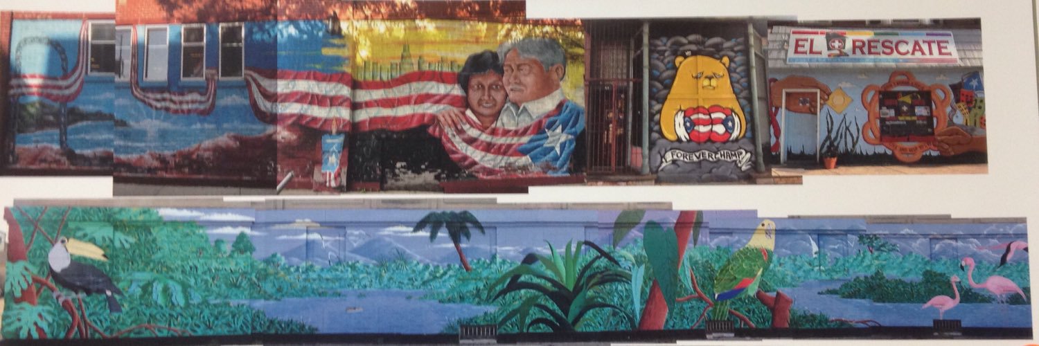 The Puerto Rican Agenda of Chicago banner