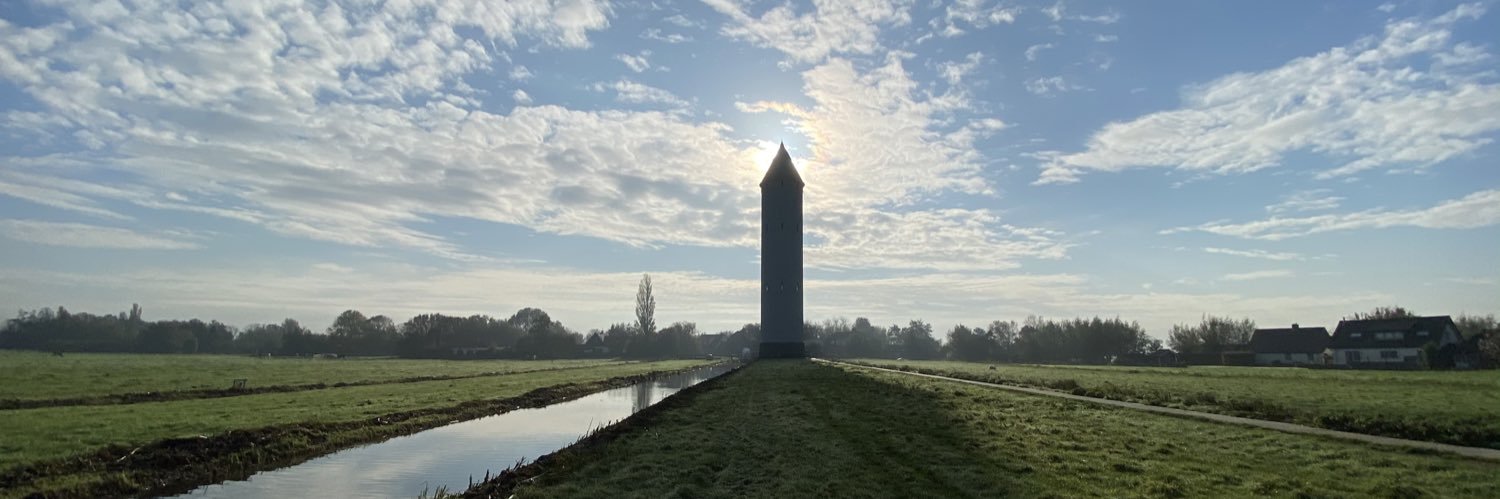 Ronald de Jong banner