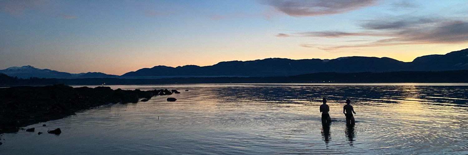 SallyCarver's profile banner image