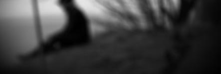 sH4eb0's profile banner image