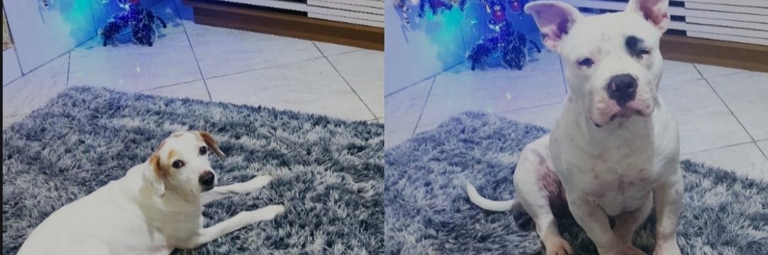 vianacvg's profile banner image