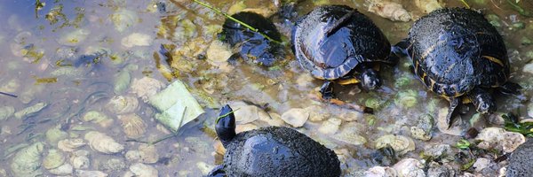 androidmods Profile Banner