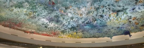 ExamenDDHH_VE Profile Banner