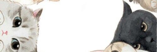 YrrSwift's profile banner image