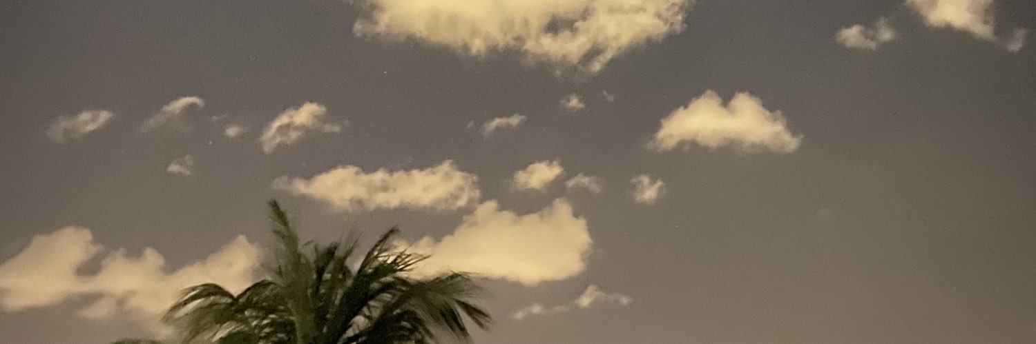 ___wilsinho's profile banner image