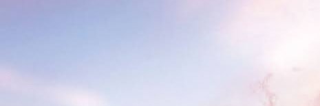 🐰 banner