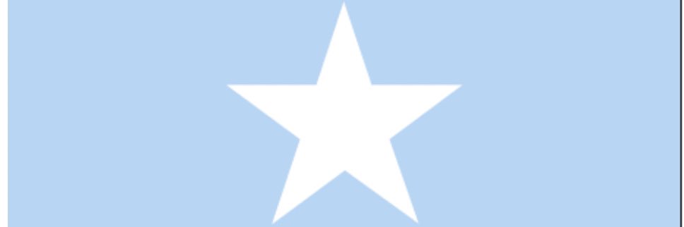 Amb. Gamal M Hassan banner