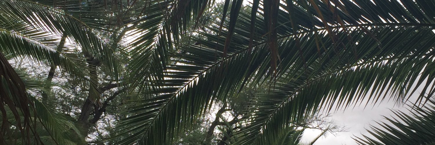 cmplemma's profile banner image