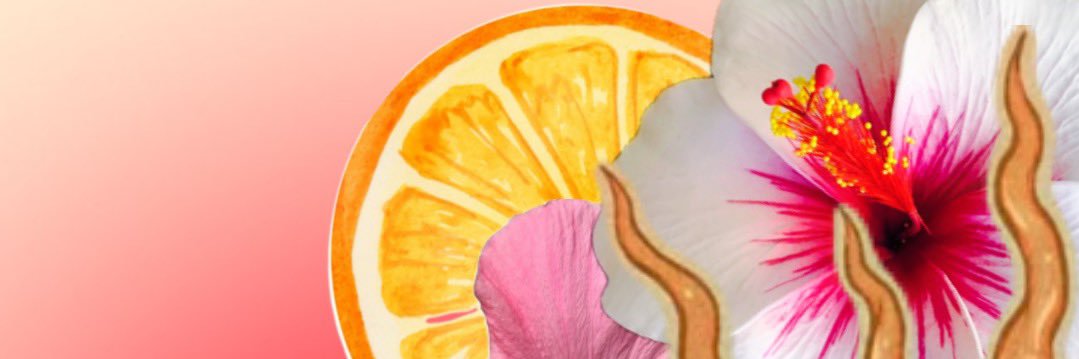 monvql's profile banner image
