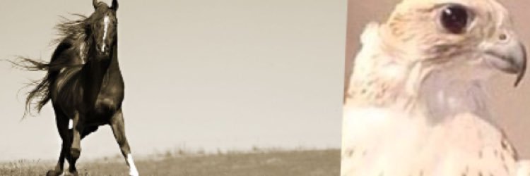 bb_123q8's profile banner image
