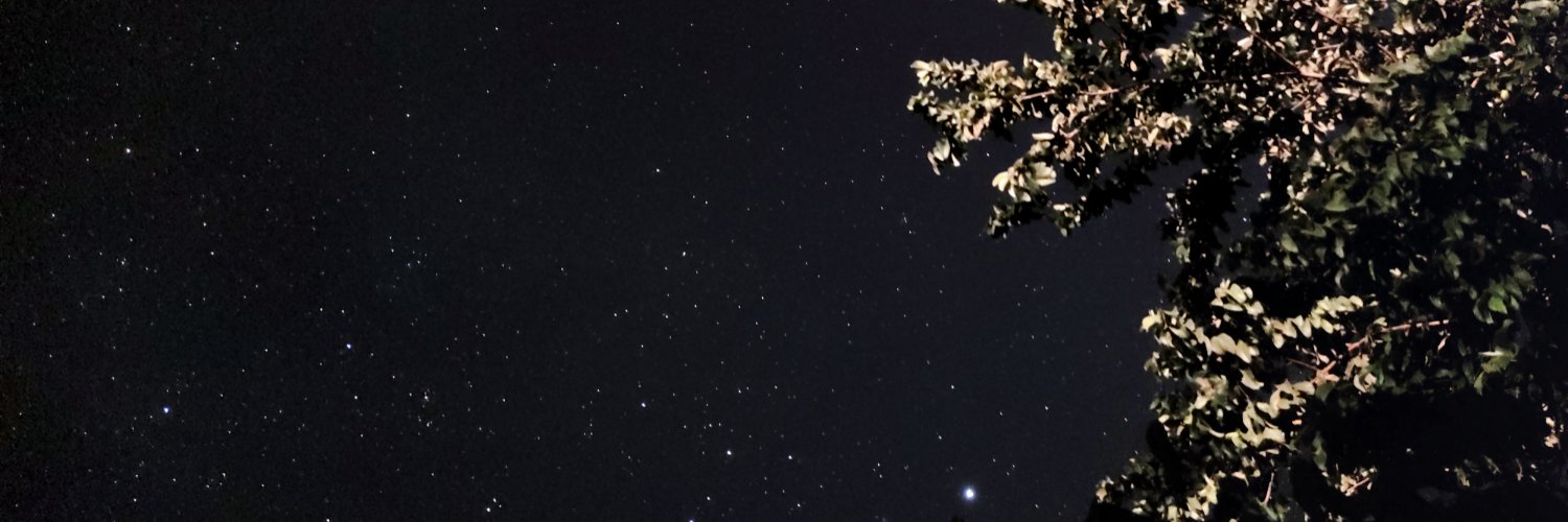 nilsonSGN's profile banner image
