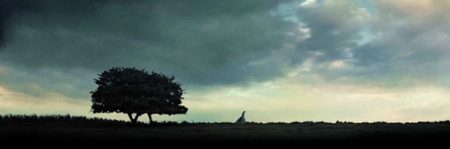 klclee22's profile banner image