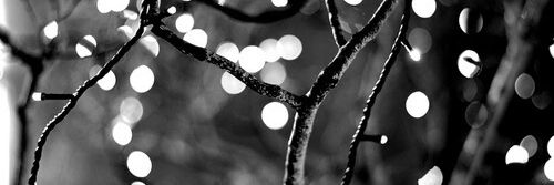 meevidziee's profile banner image
