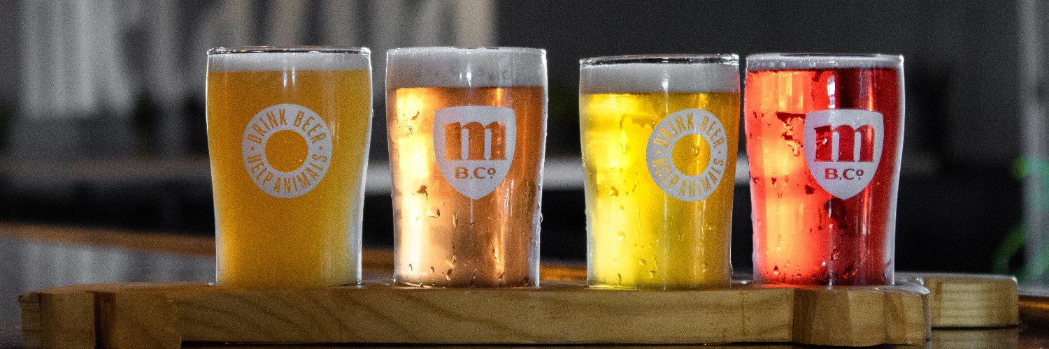 Metazoa Brewing Co. banner