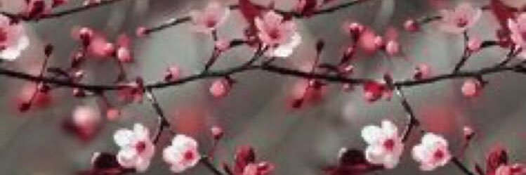 amalmal9's profile banner image