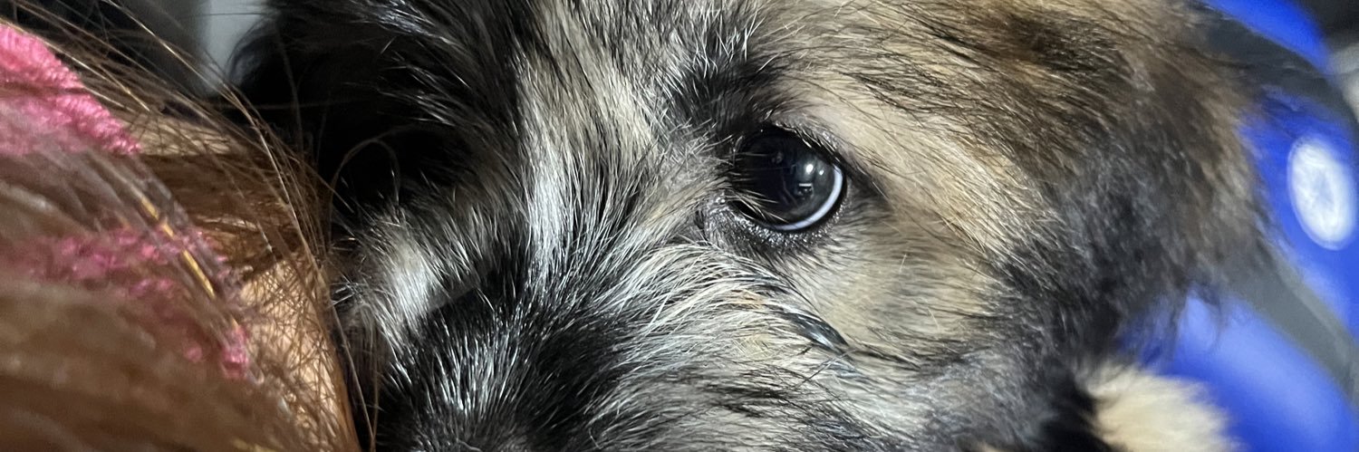 febengs's profile banner image
