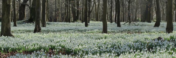 NaomiSlade Profile Banner