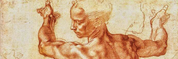 silasarigol's profile banner image