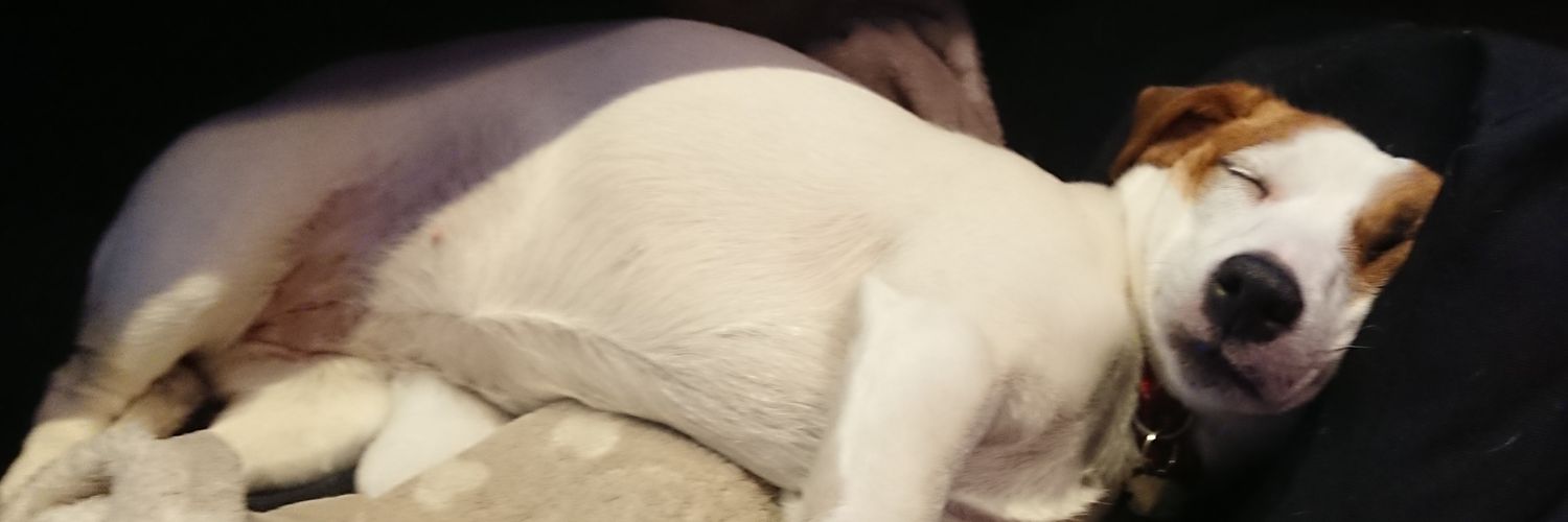 Christian Jebsen banner