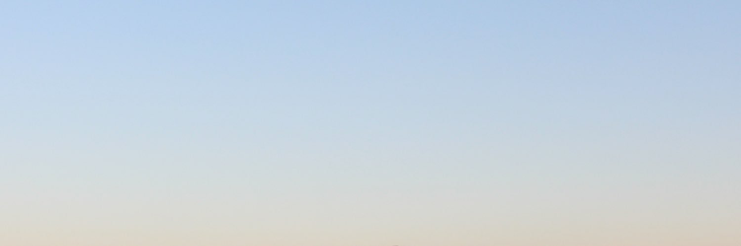 aileenelyssa's profile banner image