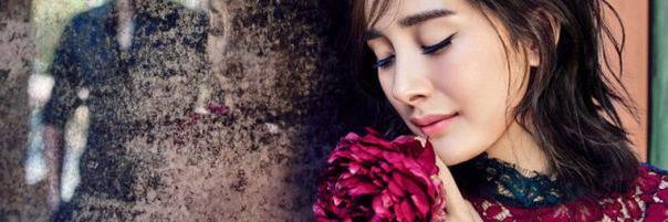 yangmiblogg's profile banner image