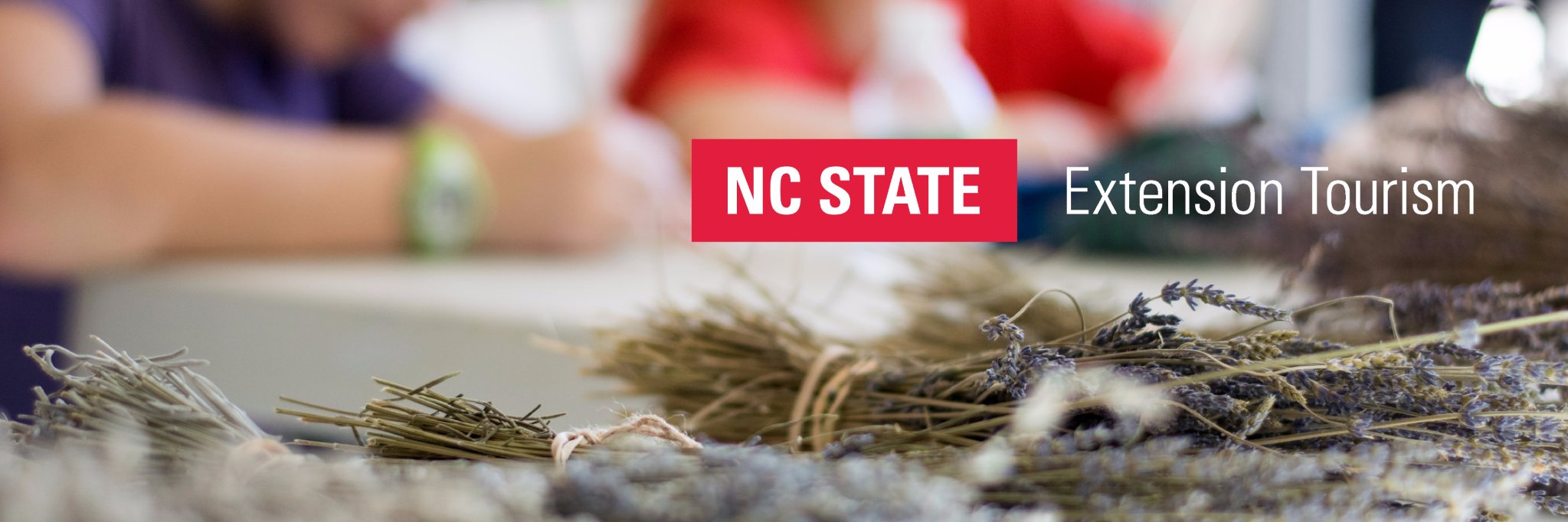 Tourism Extension banner