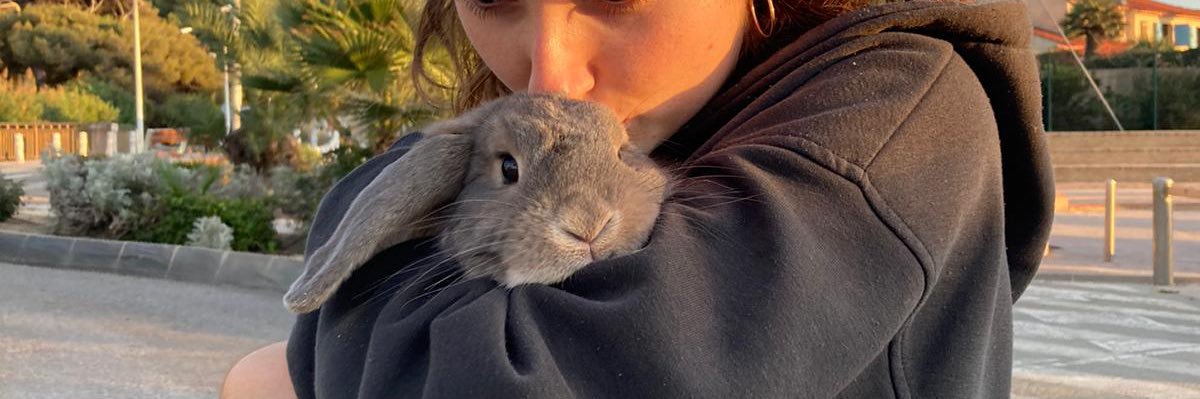 fannymandrea🌸 ⭐️ banner