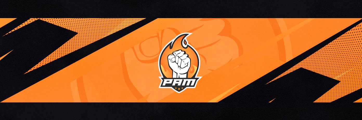 PAM eSports banner