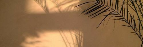 PandaNostalgico's profile banner image