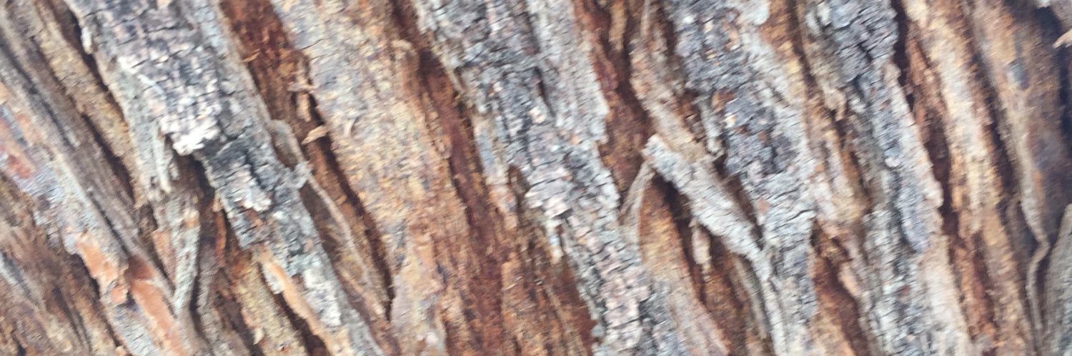 zgiles2015's profile banner image