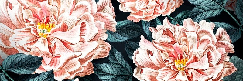 Nixx411's profile banner image