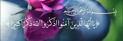 nzansar's profile banner image
