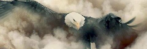 stelever23's profile banner image