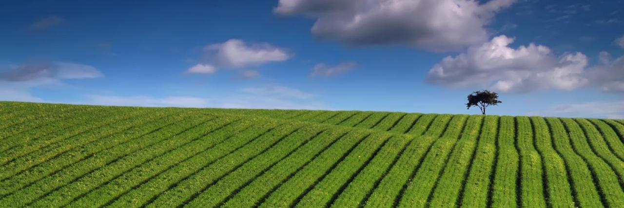 pandecampo's profile banner image