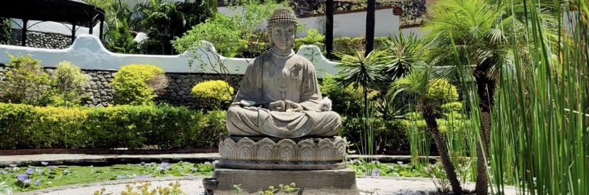 Edna Oaks ( All you need is love) banner