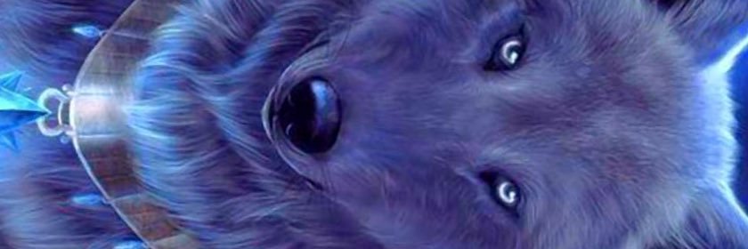amir22t's profile banner image