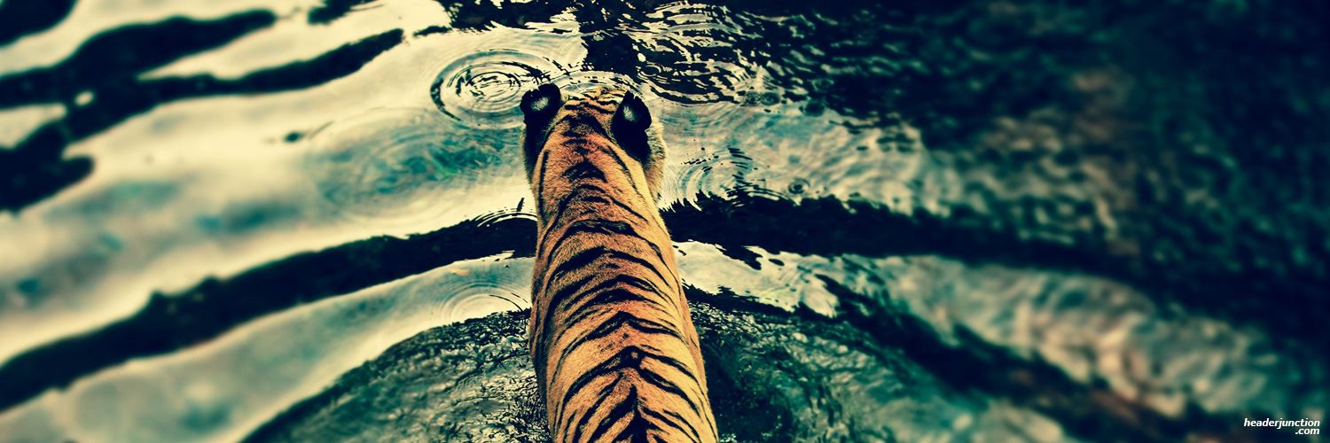 TrulyKing_'s profile banner image